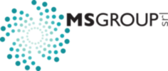 MS-Group